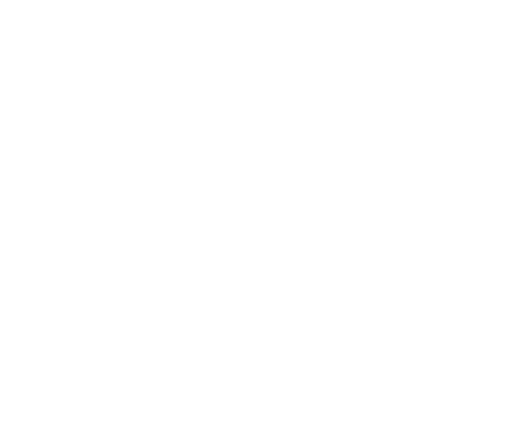 mg-logo-footer-476px